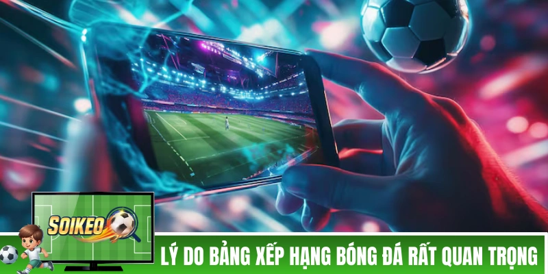 Lý do bảng xếp hạng bóng đá rất quan trọng