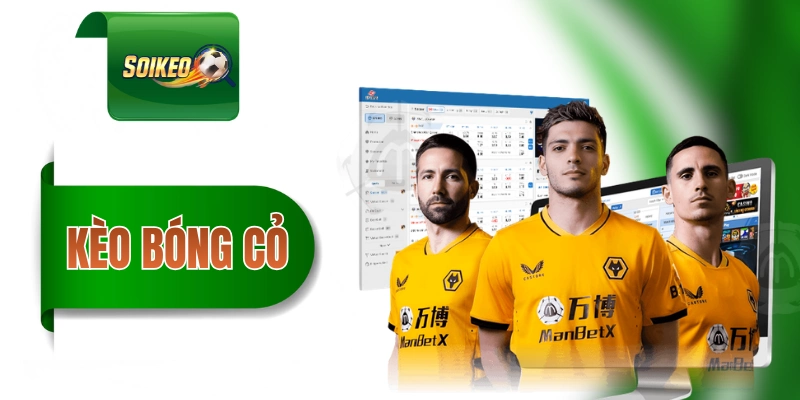 keo bong co thumbnail