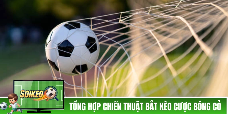 Kèo Bóng Cỏ - Kinh Nghiệm Bắt Các Trận Bóng Cỏ Của Dân Chuyên Tổng hợp chiến thuật bắt kèo cược bóng cỏ