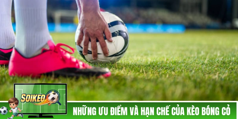 Kèo Bóng Cỏ - Kinh Nghiệm Bắt Các Trận Bóng Cỏ Của Dân Chuyên Những ưu điểm và hạn chế của kèo bóng cỏ