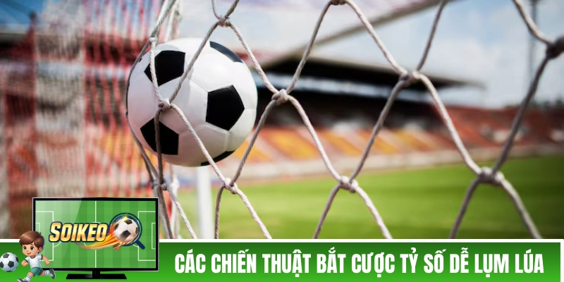 Các chiến thuật bắt cược tỷ số dễ lụm lúa