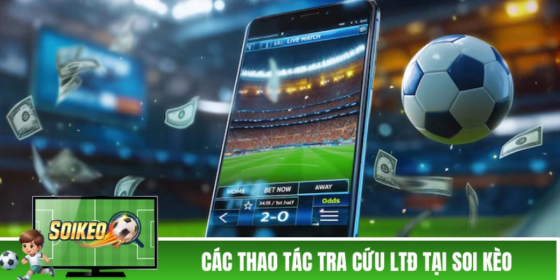 Các thao tác tra cứu LTĐ tại Soi Kèo