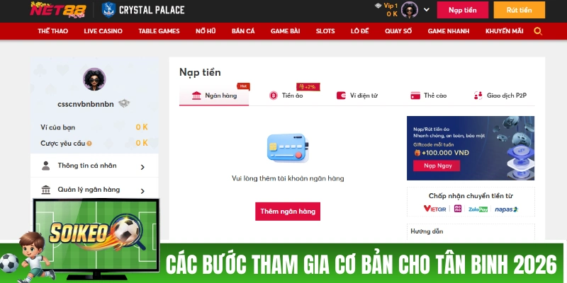 Các bước tham gia cơ bản cho tân binh 2026