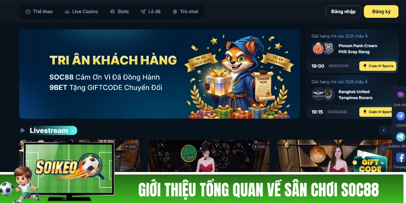 Giới thiệu tổng quan về sân chơi cá cược SOC88