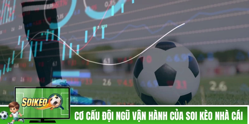 Soi Kèo Nhà Cái - Trang Soi Kèo Bóng Đá Uy Tín Cập Nhật Kèo Nhà Cái 5 Cơ cấu đội ngũ vận hành của Soi Kèo Nhà Cái