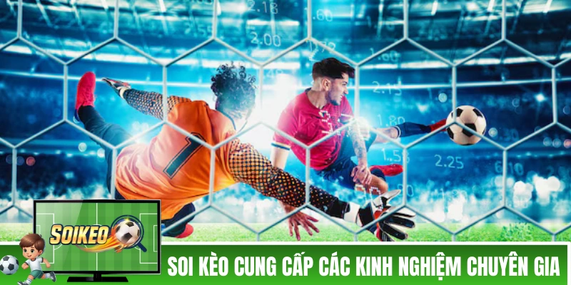 Soi Kèo Nhà Cái - Trang Soi Kèo Bóng Đá Uy Tín Cập Nhật Kèo Nhà Cái 5 Soi Kèo cung cấp các kinh nghiệm chuyên gia