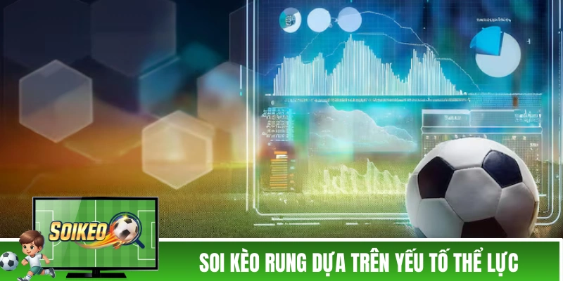 Soi kèo rung dựa trên yếu tố thể lực