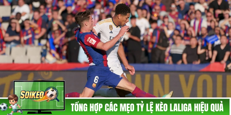 Tổng hợp các mẹo tỷ lệ kèo Laliga hiệu quả