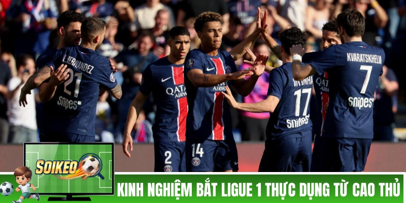 Kinh nghiệm soi tỷ lệ kèo Ligue 1 từ cao thủ