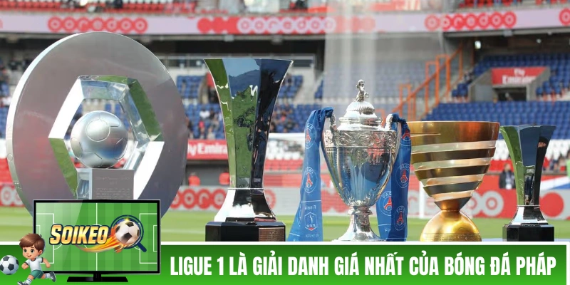 Ligue 1 là giải đấu danh giá nhất của bóng đá Pháp