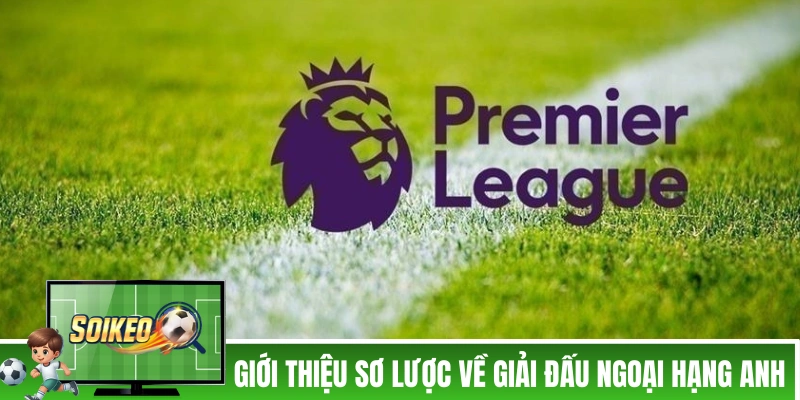 Tỷ Lệ Kèo Ngoại Hạng Anh - Các Thông Tin Liên Quan Cần Biết Giới thiệu sơ lược về giải đấu Ngoại Hạng Anh