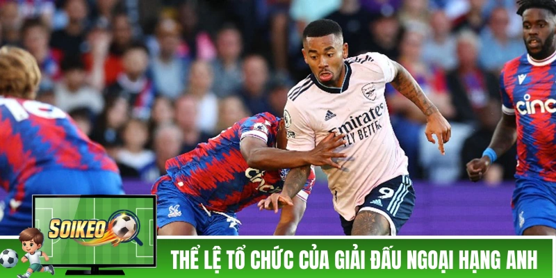 Tỷ Lệ Kèo Ngoại Hạng Anh - Các Thông Tin Liên Quan Cần Biết Thể lệ tổ chức của giải đấu Ngoại Hạng Anh