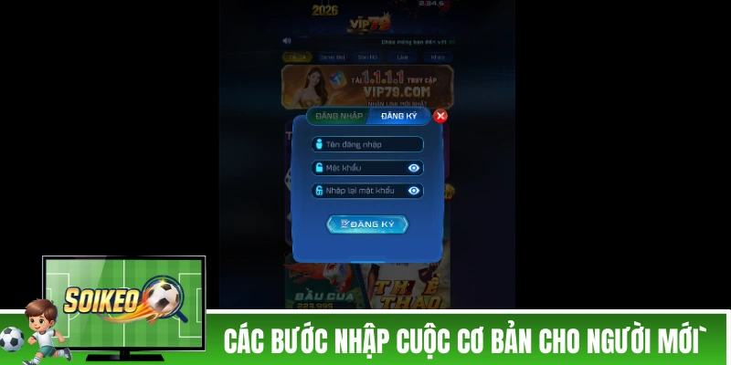 VIP79 - Cổng Game Thời Đại Mới, Tặng Thưởng 79K Tân Thủ Các bước nhập cuộc cơ bản cho người mới